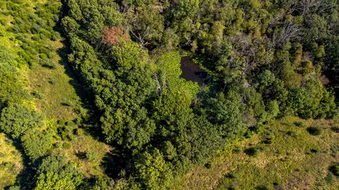 22595 S 2225 Rd, Milo, MO 64767 photo 21