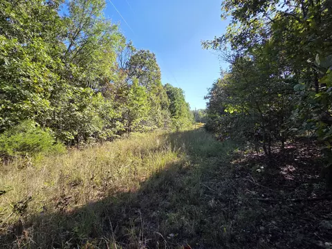 000 County Road 330, Dora, MO 65637 photo 15
