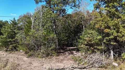 000 County Road 330, Dora, MO 65637 photo 3