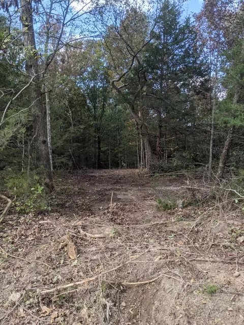 000 County Road 330, Dora, MO 65637 photo 12