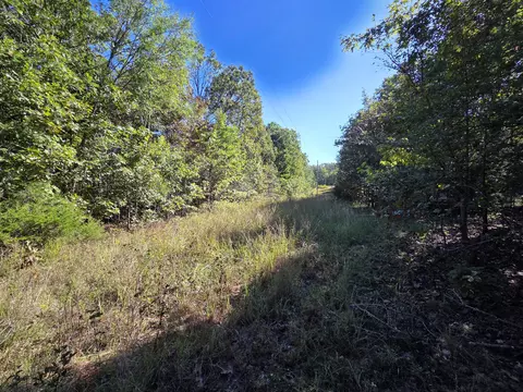 000 County Road 330, Dora, MO 65637 photo 16