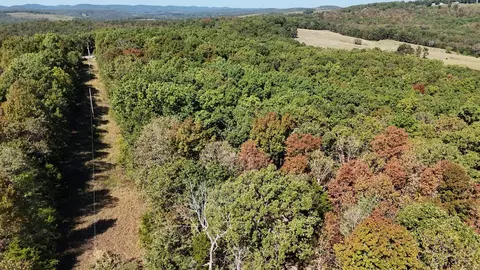 000 County Road 330, Dora, MO 65637 photo 4