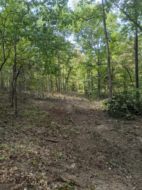 000 County Road 330, Dora, MO 65637