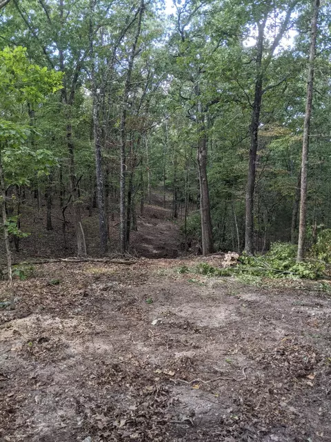 000 County Road 330, Dora, MO 65637 photo 13