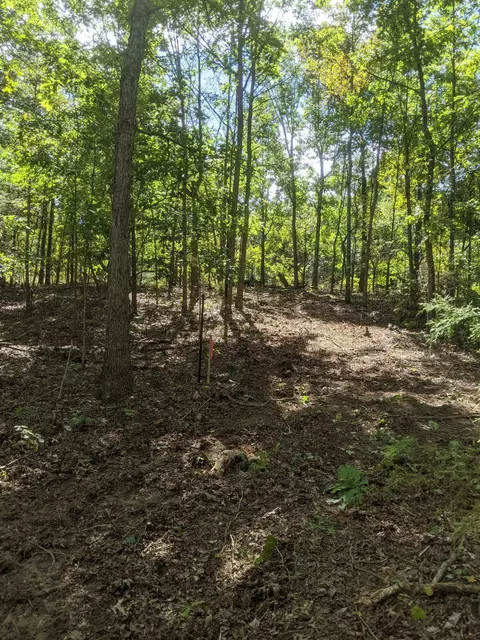 000 County Road 330, Dora, MO 65637 photo 2