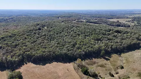 000 County Road 330, Dora, MO 65637 photo 9