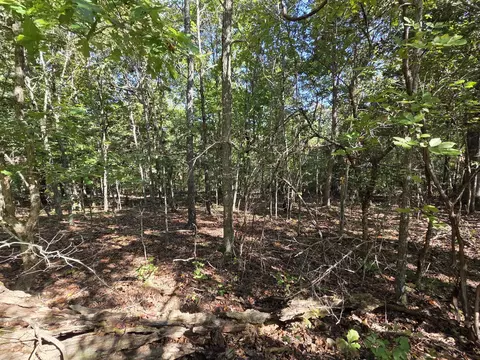 000 County Road 330, Dora, MO 65637 photo 14