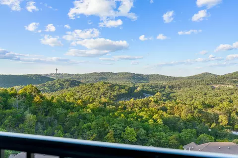 View/Area - 3002 N Vineyards Ter #3, Branson, MO 65616 photo 4 of 4