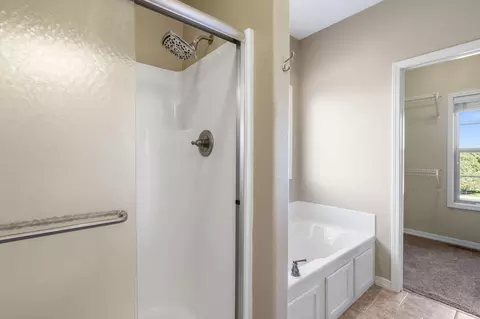 Bath - 165 Gloria Ct, Branson, MO 65616 photo 2 of 4