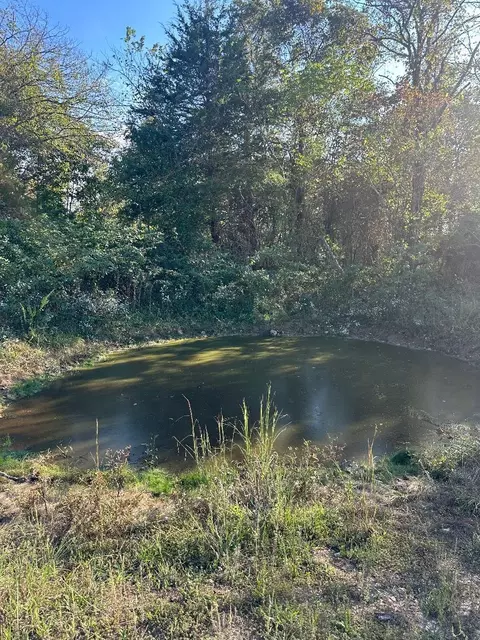 000 N Hwy, Mountain Grove, MO 65711