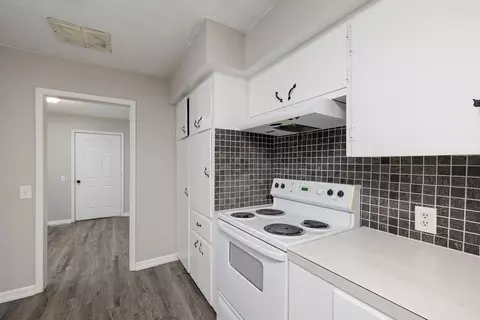6259 W Republic Rd, Brookline, MO 65619 photo 13