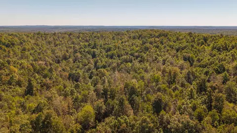 000 County Road 317, Thayer, MO 65791 photo 7