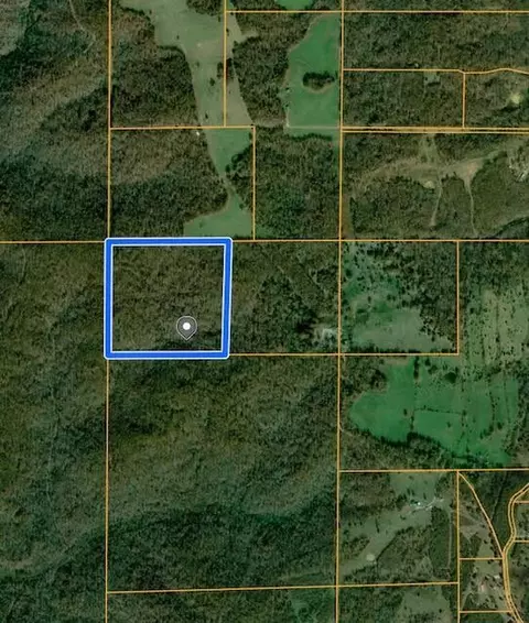 000 County Road 317, Thayer, MO 65791 photo 2