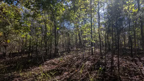 000 County Road 317, Thayer, MO 65791 photo 20