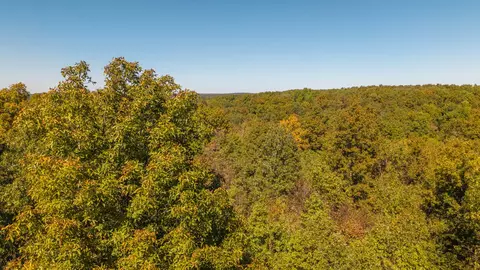 000 County Road 317, Thayer, MO 65791 photo 10