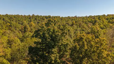 000 County Road 317, Thayer, MO 65791 photo 12
