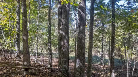 000 County Road 317, Thayer, MO 65791 photo 16