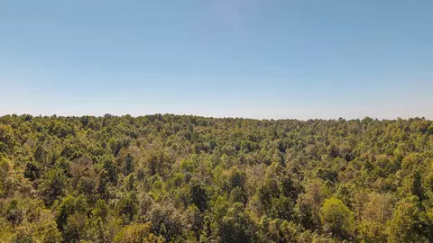 000 County Road 317, Thayer, MO 65791 photo 5