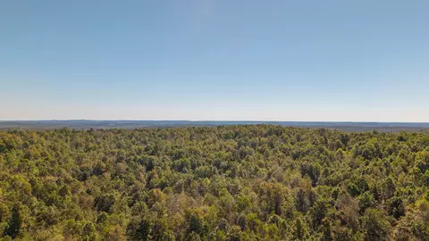 000 County Road 317, Thayer, MO 65791 photo 6