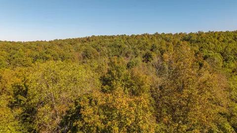 000 County Road 317, Thayer, MO 65791 photo 11