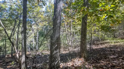 000 County Road 317, Thayer, MO 65791 photo 15