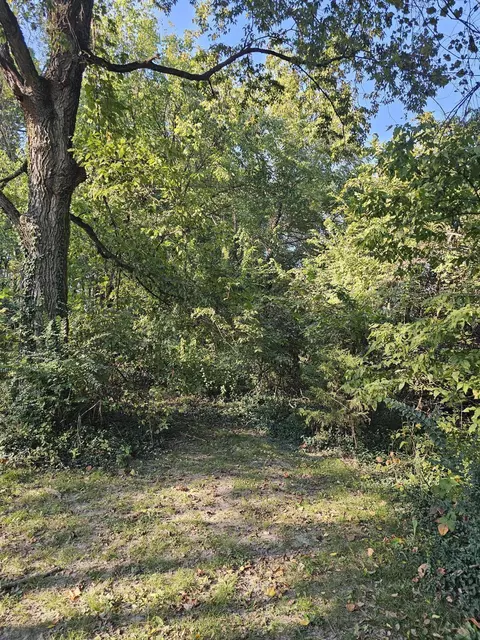 000 Garner St, Goodman, MO 64843