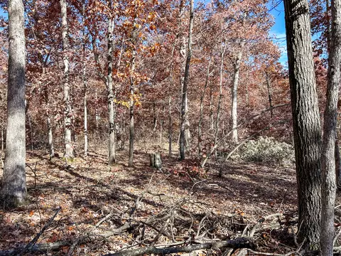 000 E Dade 4, Dadeville, MO 65635 photo 4