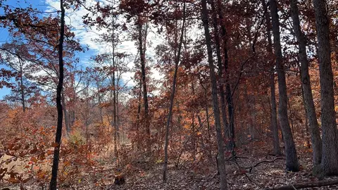 000 E Dade 4, Dadeville, MO 65635 photo 5