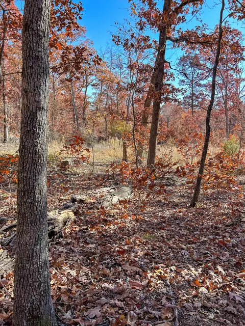 000 E Dade 4, Dadeville, MO 65635 photo 7