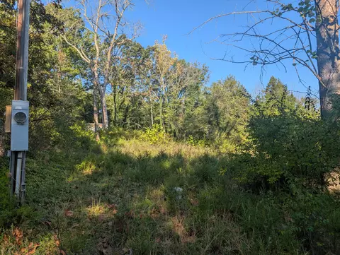 192021 Turkey Mtn Ests #2, Shell Knob, MO 65747 photo 2