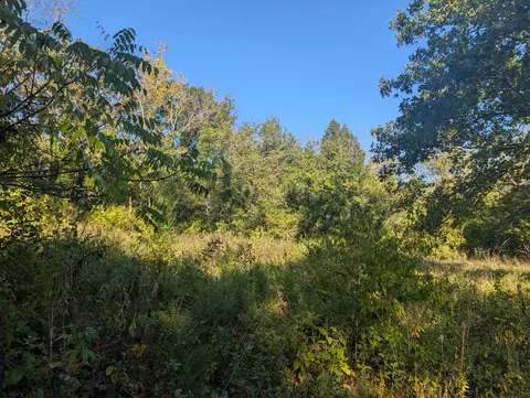 192021 Turkey Mtn Ests #2, Shell Knob, MO 65747 photo 3