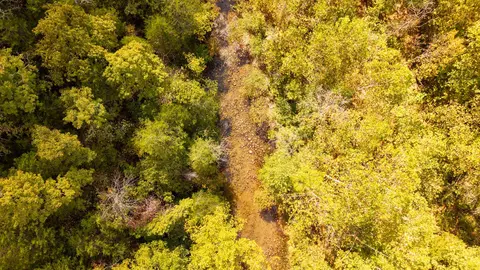 000 Weatherstone Rd, Mammoth Spring, AR 72554 photo 6