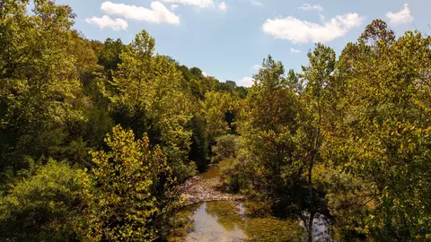 000 Weatherstone Rd, Mammoth Spring, AR 72554 photo 13