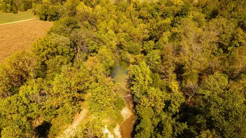 000 Weatherstone Rd, Mammoth Spring, AR 72554 photo 7