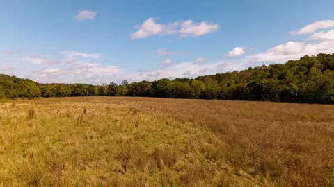 000 Weatherstone Rd, Mammoth Spring, AR 72554 photo 3