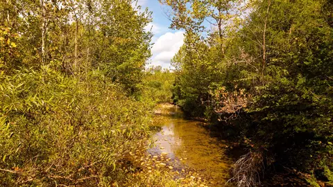 000 Weatherstone Rd, Mammoth Spring, AR 72554 photo 14