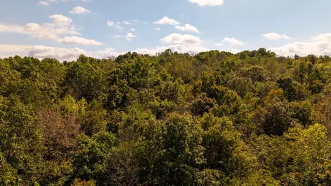 000 Weatherstone Rd, Mammoth Spring, AR 72554 photo 11