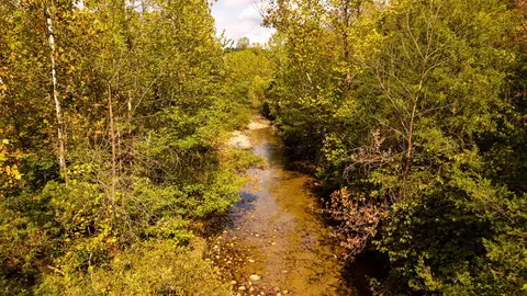000 Weatherstone Rd, Mammoth Spring, AR 72554 photo 15
