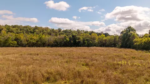 000 Weatherstone Rd, Mammoth Spring, AR 72554 photo 4