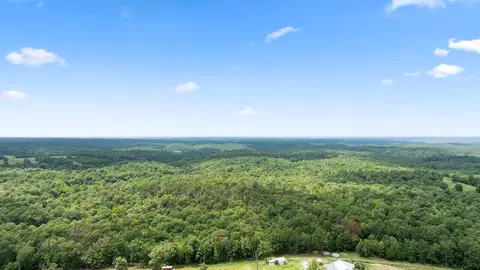 Tract 3 Styles Road, Noel, MO 64854 photo 6