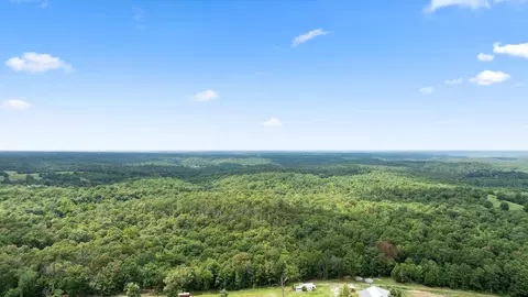 Tract 3 Styles Road, Noel, MO 64854 photo 21