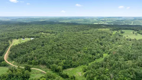 Tract 3 Styles Road, Noel, MO 64854 photo 9