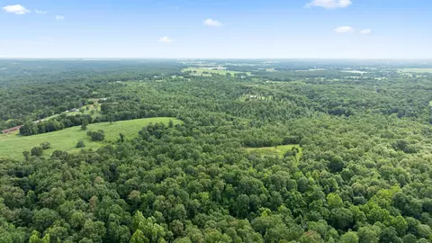 Tract 3 Styles Road, Noel, MO 64854 photo 12