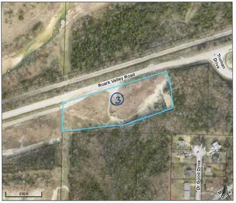 000 W Roark Valley Rd, Branson, MO 65616 photo 3
