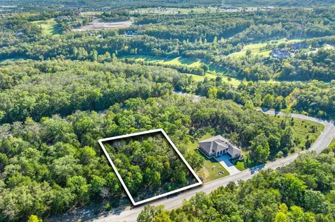 lot29 Pinehurst Dr, Branson, MO 65616 photo 3