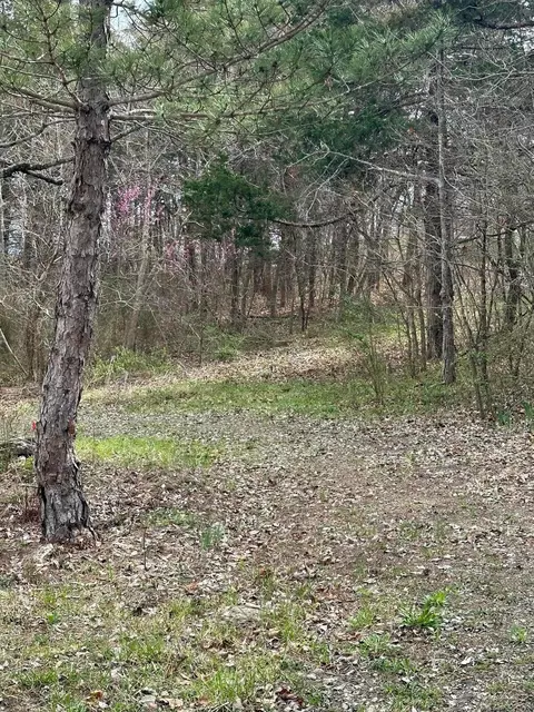 000 Iowa Colony Rd, Hollister, MO 65672