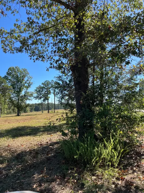 34771 Mo-14, Ava, MO 65608 photo 128