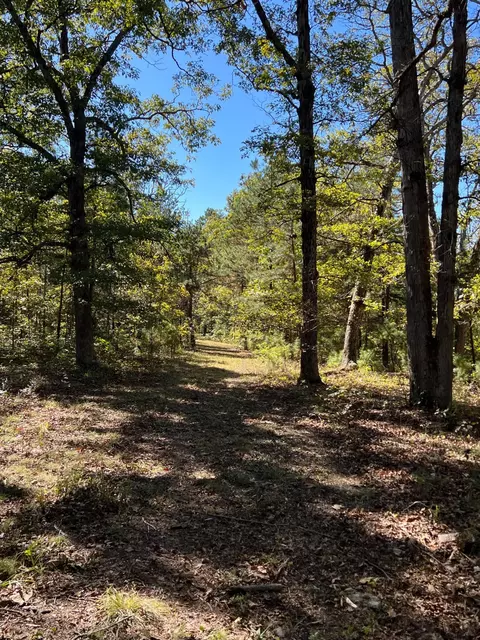 34771 Mo-14, Ava, MO 65608 photo 81