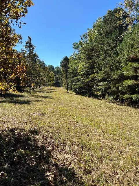 34771 Mo-14, Ava, MO 65608 photo 88