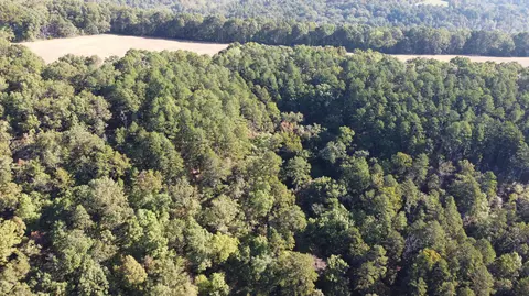 34771 Mo-14, Ava, MO 65608 photo 18